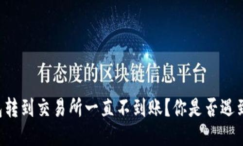 为什么TP钱包转到交易所一直不到账？你是否遇到过类似问题？
