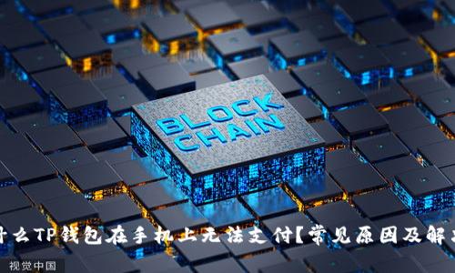 : 为什么TP钱包在手机上无法支付?常见原因及解决方案