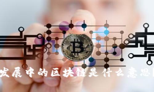 发展中的区块链是什么意思？