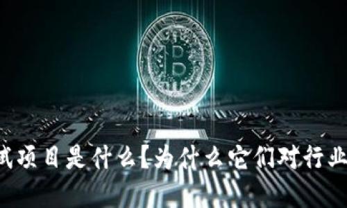 区块链测试项目是什么？为什么它们对行业如此重要？
