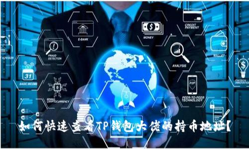 如何快速查看TP钱包大佬的持币地址？