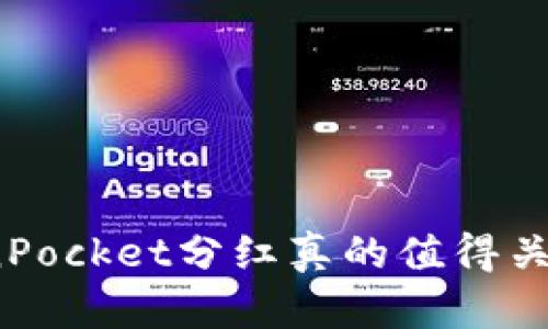 TokenPocket分红真的值得关注吗？