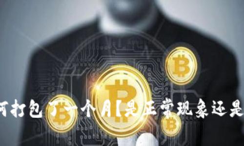 TP钱包为何打包了一个月?是正常现象还是潜在问题?