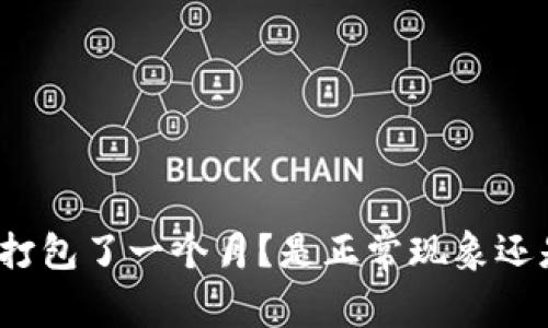 TP钱包为何打包了一个月?是正常现象还是潜在问题?