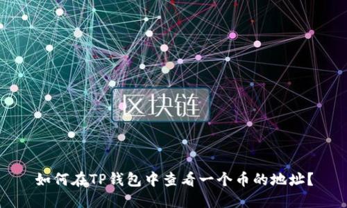 如何在TP钱包中查看一个币的地址?