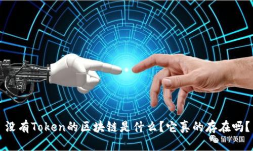 没有Token的区块链是什么？它真的存在吗？