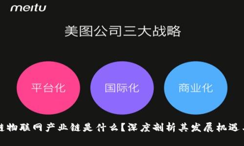 区块链物联网产业链是什么？深度剖析其发展机遇与挑战