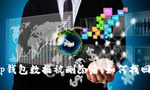 tp钱包数据被删除后，如何找回？
