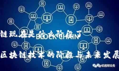 区块链现在是什么阶段了

当前区块链技术的阶段与未来发展趋势