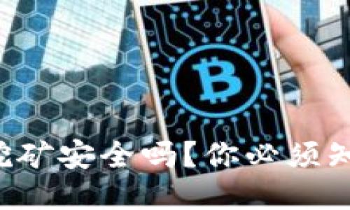 TP钱包里的质押挖矿安全吗?你必须知道的几个关键点!