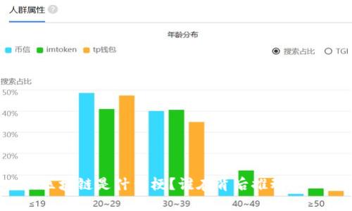 会飞的区块链是什么梗?谁在背后推动这一概念?