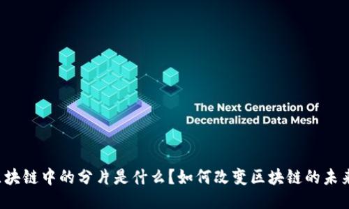 区块链中的分片是什么?如何改变区块链的未来?