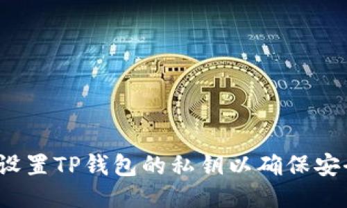 如何设置TP钱包的私钥以确保安全性？