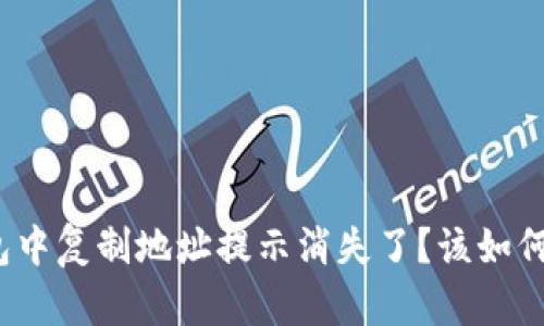 TP钱包中复制地址提示消失了？该如何解决？