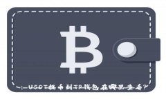 : USDT提币到TP钱包在哪里查看?