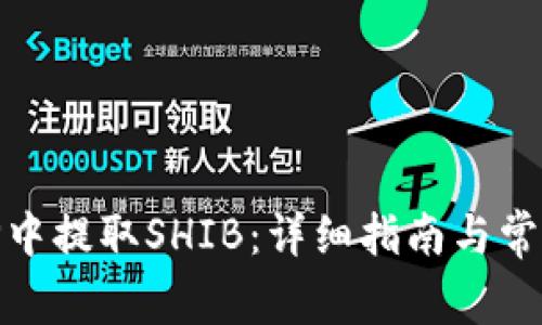 : 如何在TP中提取SHIB：详细指南与常见问题解答