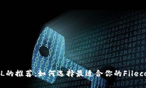 支持FIL的推荐：如何选择最适合你的Filecoin数字