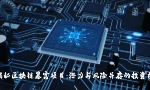 : 揭秘区块链暴富项目:潜力与风险并存的投资机会